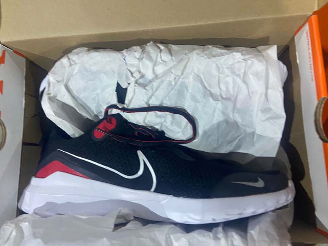 NikeSneakers9.jpg